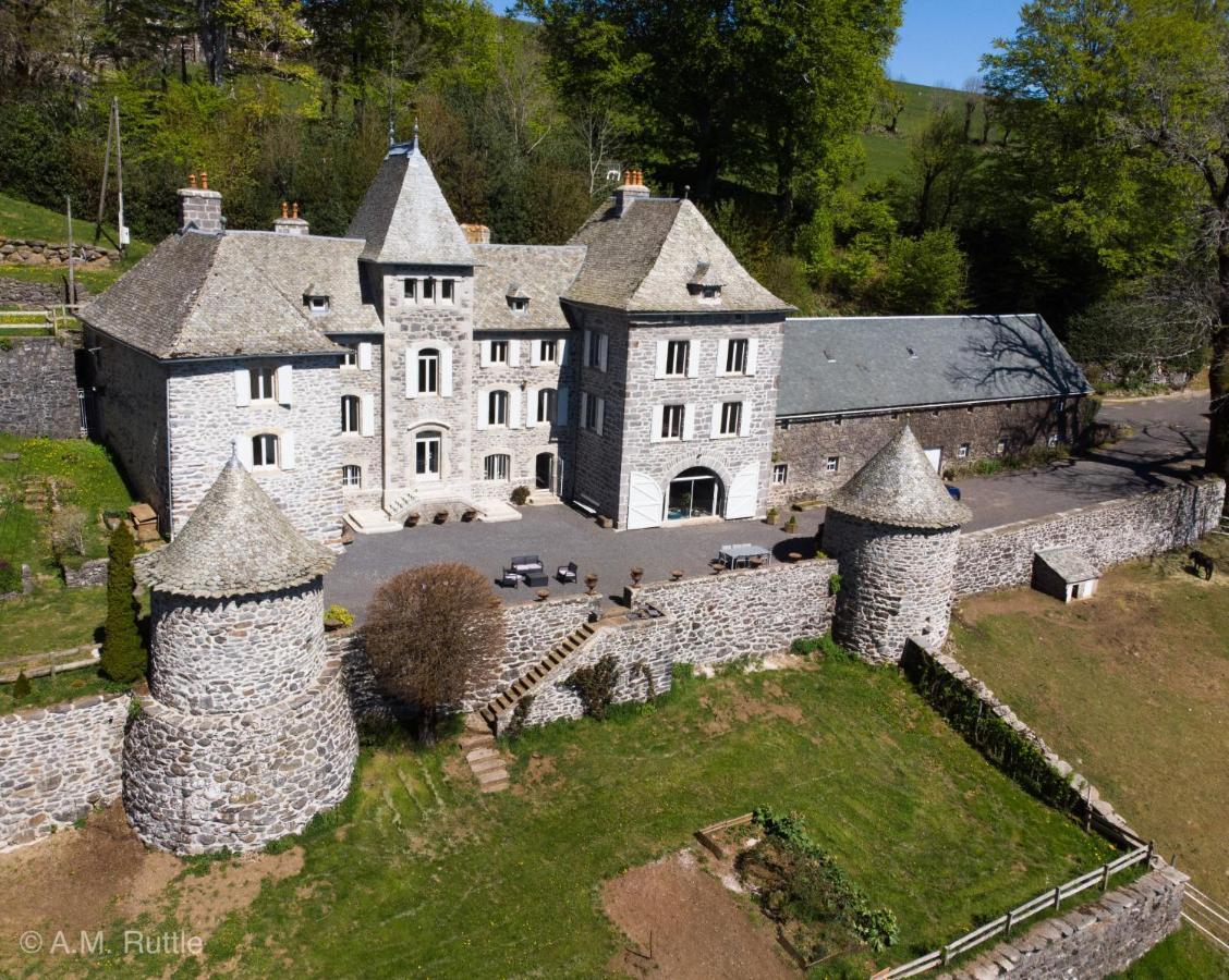 Chateau Du Puech Curieres Exterior photo